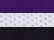 Purple/ White/ Black
