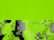 Lime/ Lime Digital