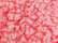 Fire Coral Heather