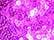 Power Pink
