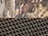 Realtree Edge/ Brown