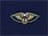 New Orleans Pelicans
