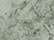 Fern