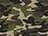 Green Camo