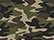 Green Camo