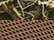 Realtree Max 7/ Buck