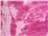 Pink Lady
