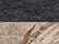 Charcoal Realtree Xtra