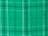 Kelly Field Day Plaid