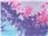 Cotton Candy