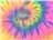 Neon Rainbow