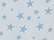 Chambray Stars Triblend