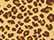 Leopard Triblend