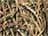Shadow Grass