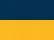 Navy/ Gold