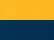 Gold/ Navy