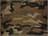 Coyote Camo