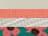 Ivory/ Sherbert/ White/ Floral