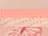 Dusty Pink/ Pink/ Peachy Pink/ Butterfly