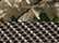 Realtree Edge/ Brown
