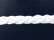 Navy/ White