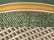 Green Stripe