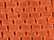 Burnt Orange