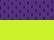 Purple/ Lime - B109