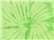 Spider Lime