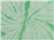 Spider Mint