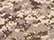 Sand Digital