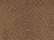Brown Reptile