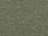 Olive Heather