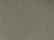 Safari