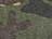 Camo Green
