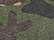 Camo Green
