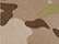 Multicam Arid