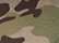 Multicam Green