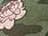 Floral Camo