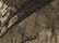 Mossy Oak Country