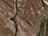 Realtree All Purpose