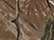 Realtree All Purpose