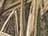 Mossy Oak Shadow Grass