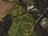 Mossy Oak BreakUp
