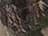 Realtree All Purpose