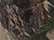 Realtree All Purpose