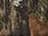 Mossy Oak BreakUp