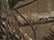 Realtree All Purpose