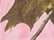 Pink Realtree AP