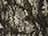Mossy Oak Breakup